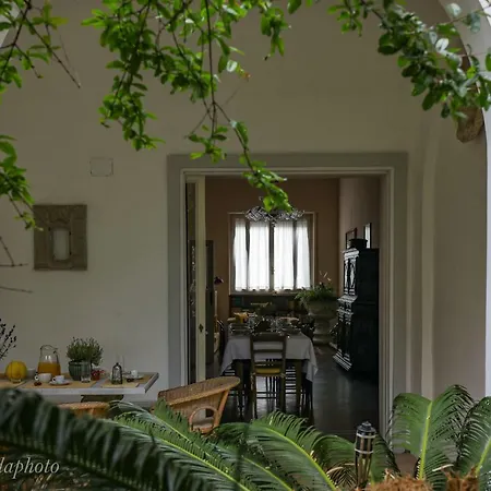 Domus Lilia بيت للعطل *
